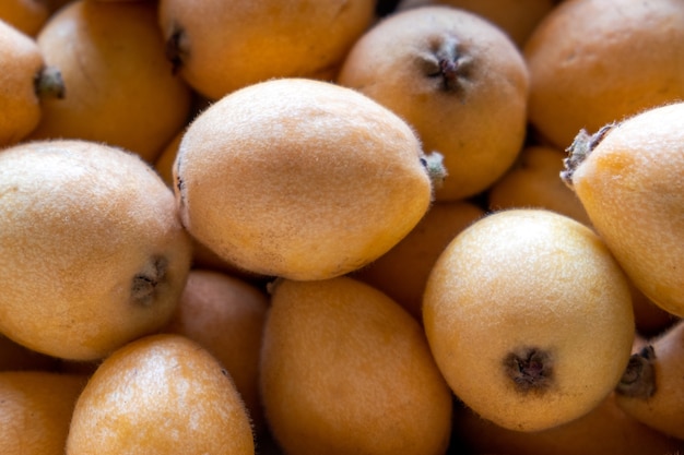 Pendant la saison des récoltes, de nombreux fruits de nèfle sont disposés de manière ordonnée