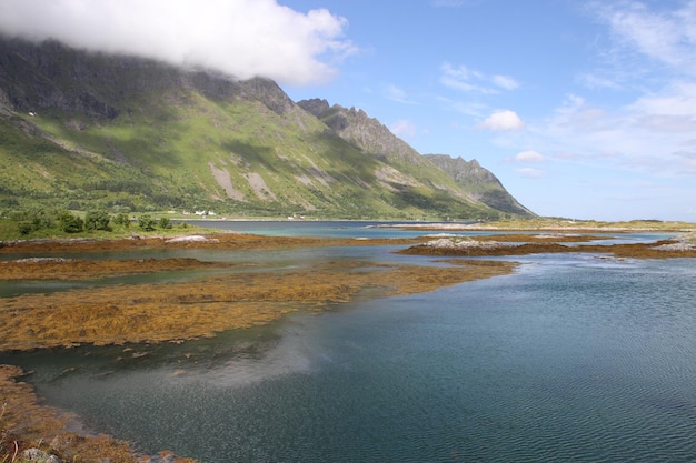 Péninsule des Lofoten Norvège