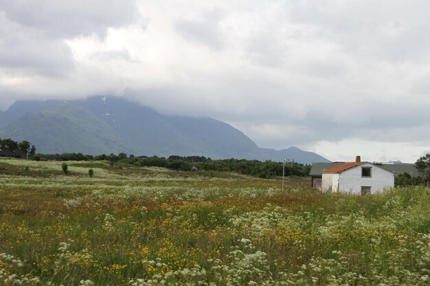 Péninsule des Lofoten Norvège