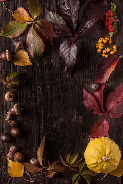 pensionnaire d'ornement de feuilles d'automne