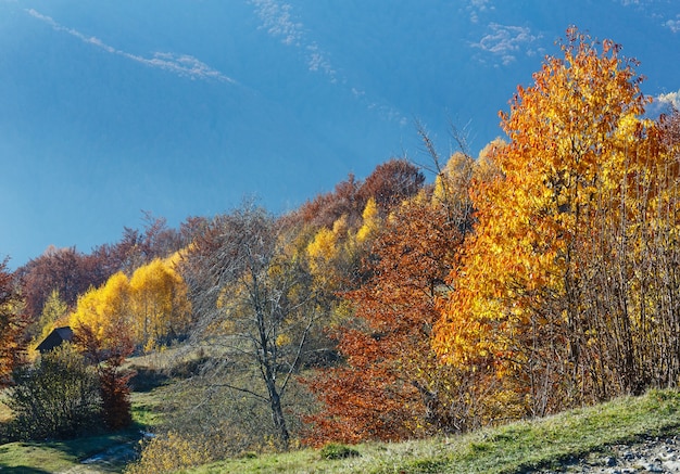 Pente de montagne brumeuse d'automne avec des arbres colorés.