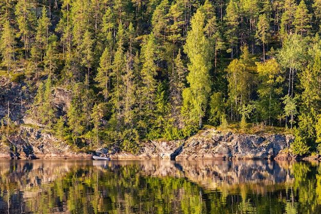 Une pente rocheuse recouverte d'arbres verts denses se reflète dans l'eau du lac encore Carélie Russie