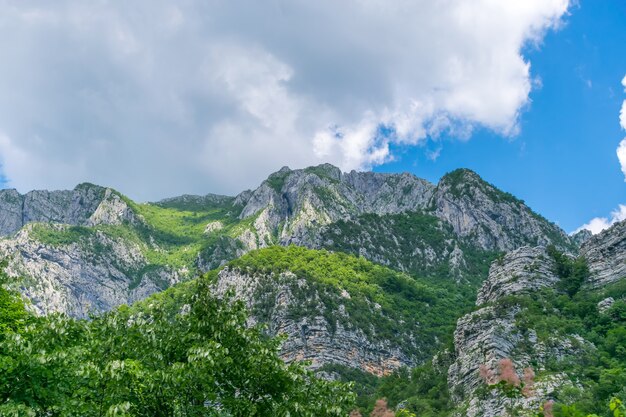 Pentes de montagne escarpées dans les canyons le long de la rivière Moraca.