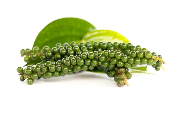 Peper vert frais sur fond blanc