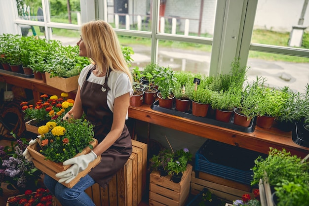 Une pépinière d'âge moyen caucasienne calme tenant une caisse en bois pleine de fleurs sur ses genoux