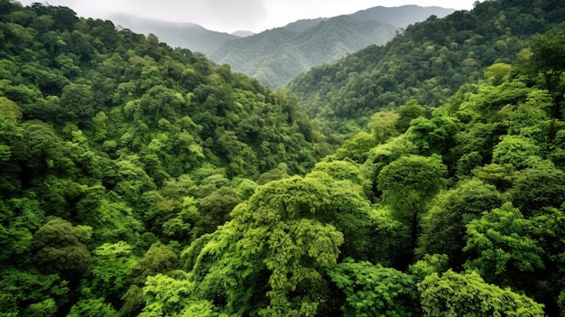 Perdez-vous dans l'étendue à couper le souffle d'un couvert forestier verdoyant qui s'étend à perte de vue. Généré par l'IA