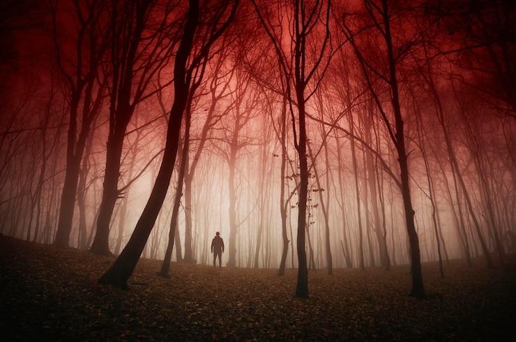 Photo perdu dans le brouillard cramoisi