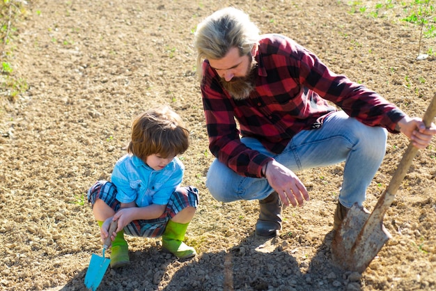 Père et enfant plantant dans le jardin. Plantes de printemps. Jardinage familial.