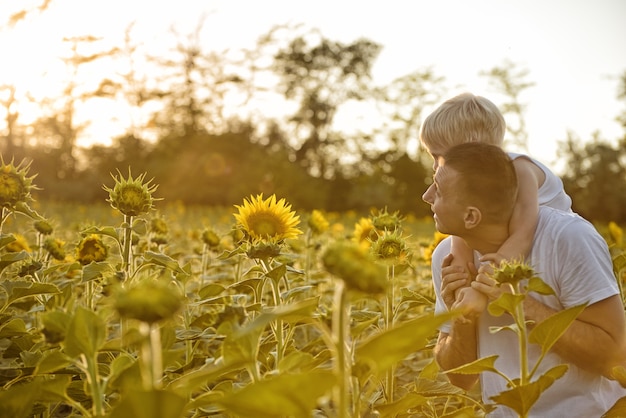 Père, fils, dos, marcher, sur, a, champ vert, de, tournesols floraison, à, coucher soleil