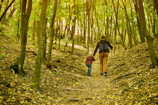 Père et fils marchant dans la forêt d'automne. Vue arrière