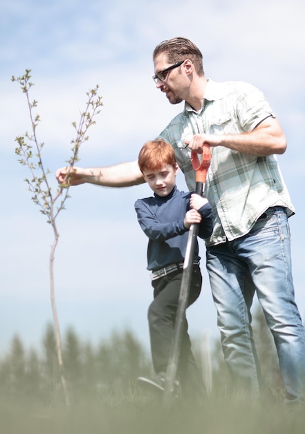 Photo père et fils plantant un arbre travaillant ensemblepère et fils plantant un arbre travaillant ensemble