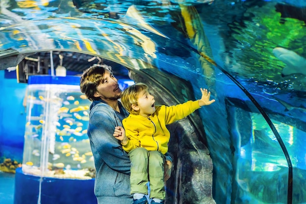 Père et fils regardent les poissons dans l'aquarium de l'océanarium