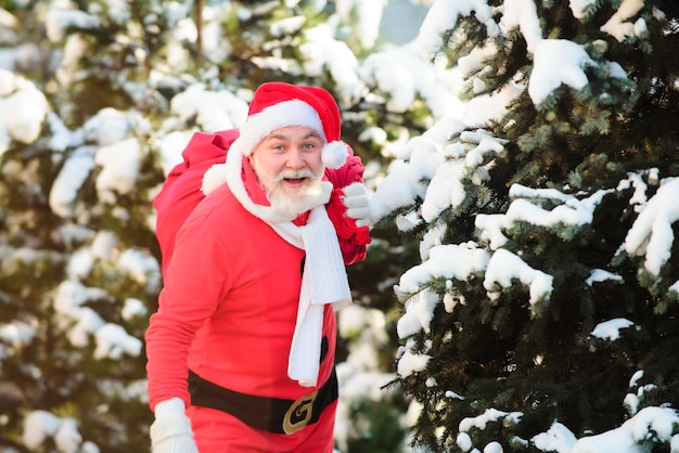 Père Noël avec un énorme sac rouge sur fond de branche enneigée de sapin Joyeux Noël et nouvel an conce