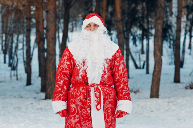 Père Noël avec une longue barbe blanche marchant dans la forêt d'hiver