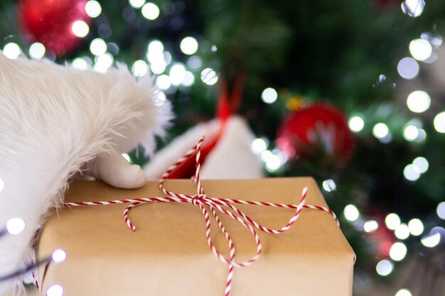 Le Père Noël met un cadeau sous l'arbre de Noël.