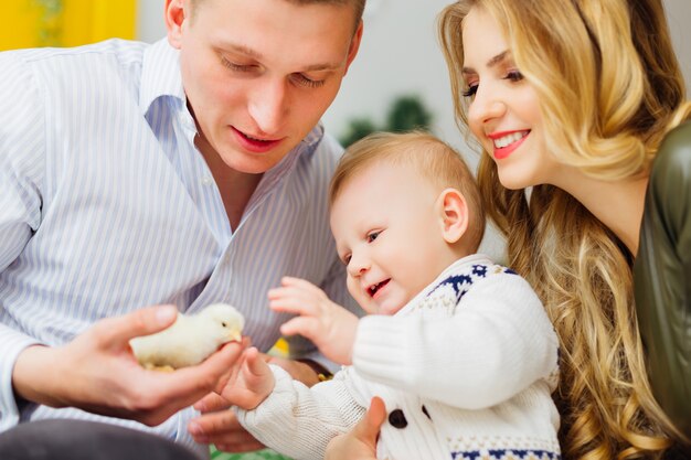 Père tient un petit poulet jaune et un petit garçon et sa maman le regardent et sourient