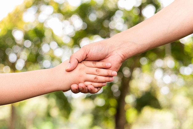 Un père tient ses fils par la main dans un jardin public