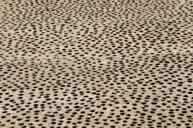 Perforations dans le mur de béton de l'ancien temple texture de surface inhabituelle avec des trous Libre Travail du perforateur