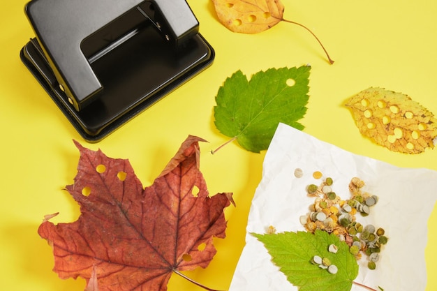 Perforatrice et feuilles d'automne sur fond jaune, confettis écologiques à partir de matériaux naturels, des vacances sans pollution de l'environnement