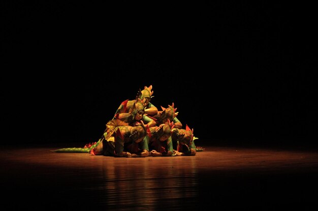 Performance de danse contemporaine