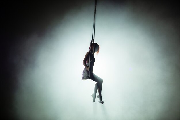 Performances d'artistes en hauteur sous la coupole du cirque