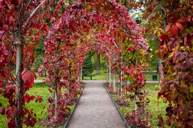 Pergola dans le jardin du complexe du palais Oranienbaum, Lomonosov, Saint Petersburg, Russie