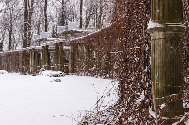 Pergola dans son propre jardin au parc Catherine en hiver