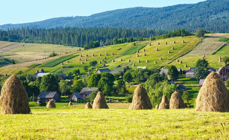 Photo périphérie de village de montagne d'été avec des meules de foin sur terrain (carpates, ukraine)