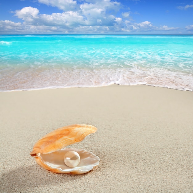 Perle des Caraïbes sur une plage de sable blanc tropical