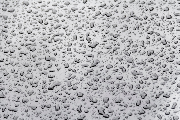 perles d'eau sur un sol répulsif