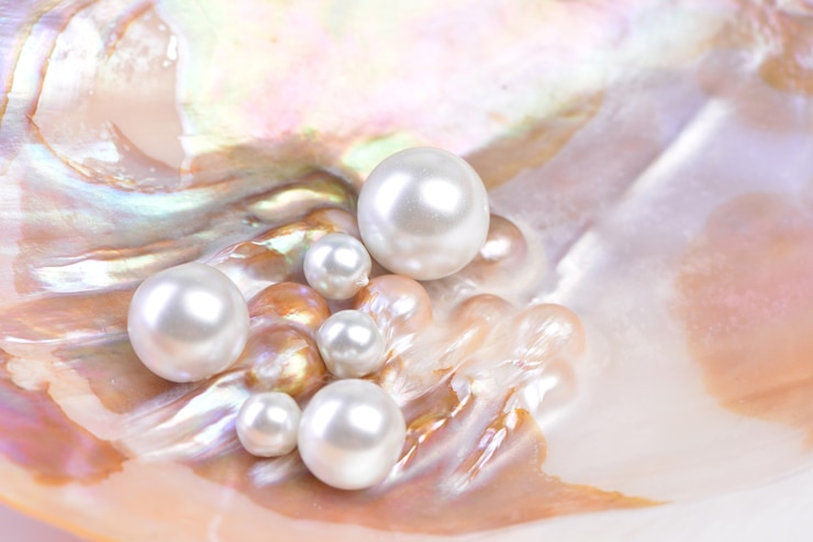Photo perles naturelles à l'intérieur de la coquille d'huître