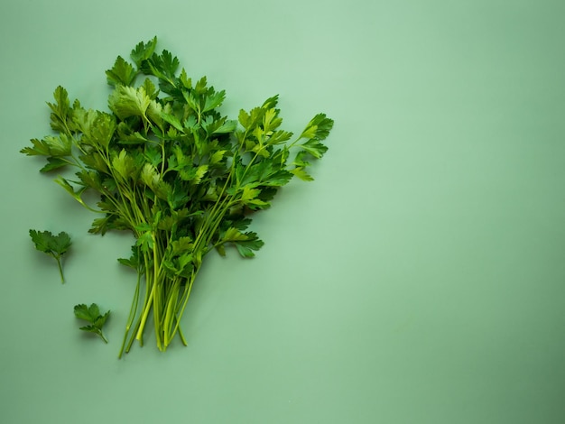 Persil italien frais sur un persil de fond vert