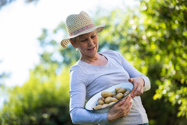 Personne âgée, femme, Porter, pommes terre, bol