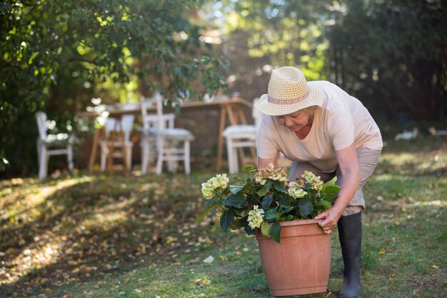 Personne agee, femme, Porter, pot, plante, jardin