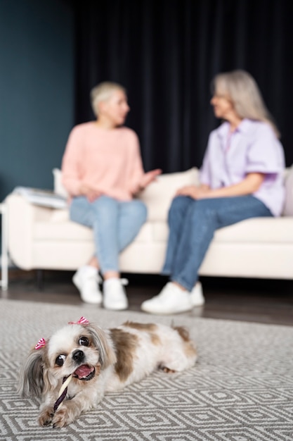 Photo personne âgée avec son chien