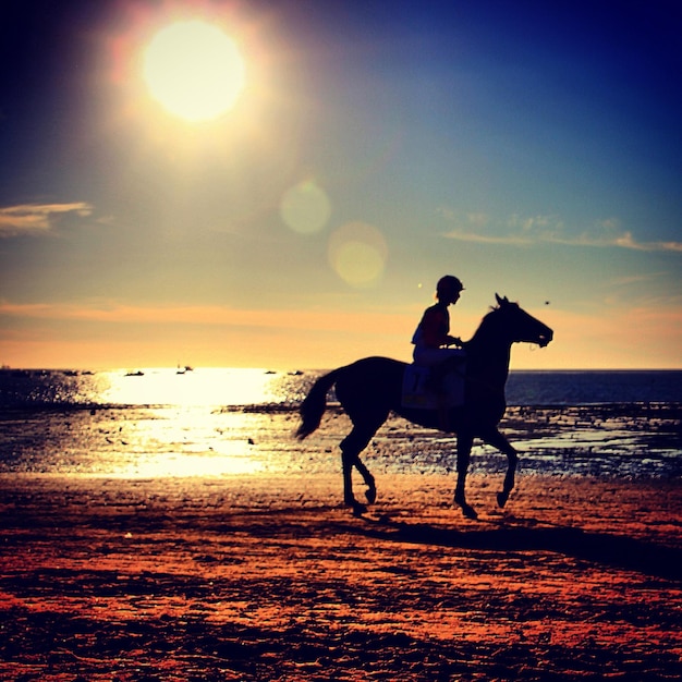 Photo personne à cheval en mer