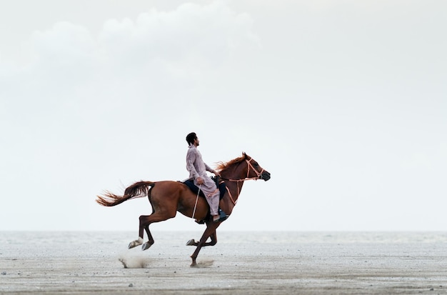 Une personne chevauchant un cheval brun dans un désert aride.