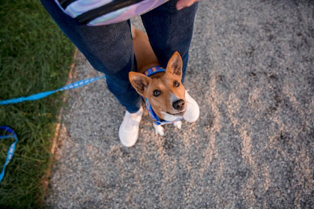 Une personne debout sur un chemin avec un chien en laisse