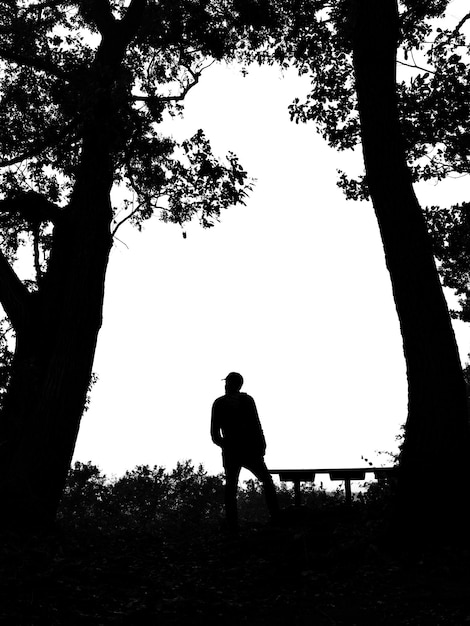 Photo une personne debout devant un arbre avec le soleil qui brille à travers les arbres.