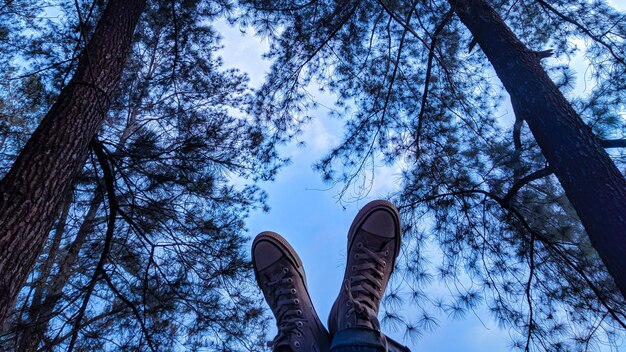 Une personne est assise sur un arbre, les pieds levés et ses chaussures regardent le ciel.