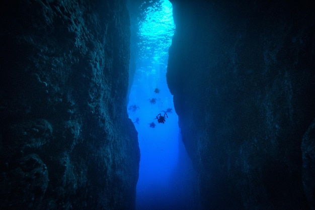 Personne faisant de la plongée sous-marine en haute mer