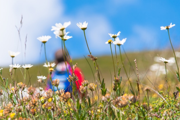 Personne floue derrière des fleurs dans un pré pendant une excursion dans la nature