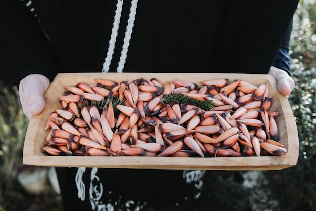 personne mapuche utilisant un poncho en laine, tenant une auge en bois rustique avec des pignons de pin araucaria.