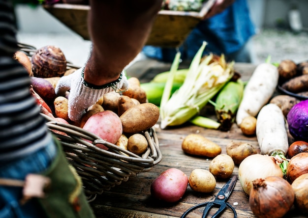 Une personne organisant des pommes de terre à une stalle