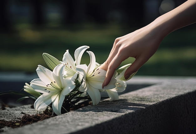 personne plaçant une fleur blanche sur une pierre tombale dans le style d'un geste dirigé