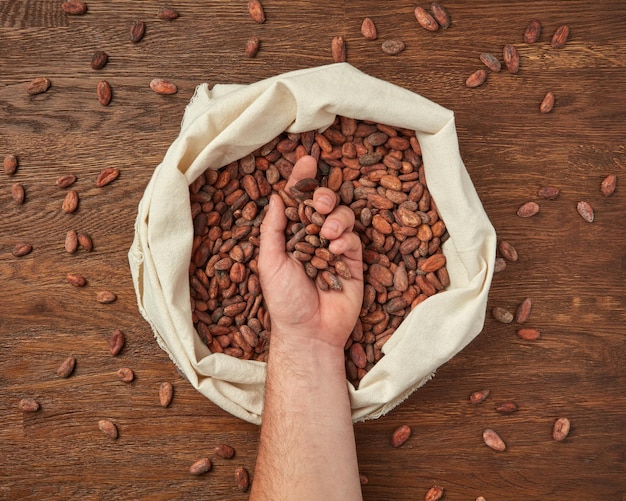 Personne avec une poignée de fèves de cacao