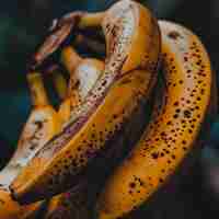 Photo une personne tenant un bouquet de bananes avec le mot dessus