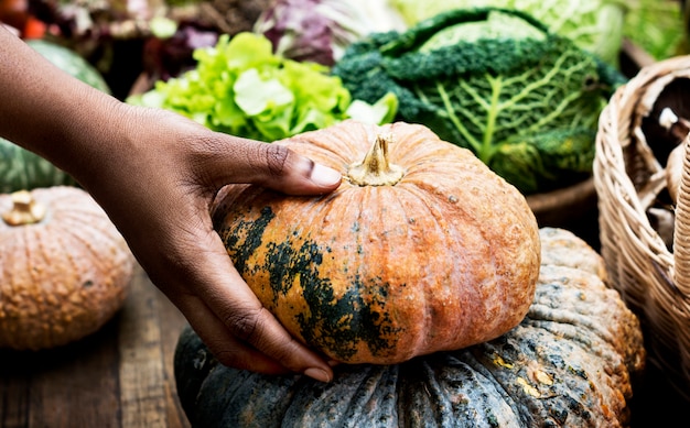 Une personne tenant une citrouille