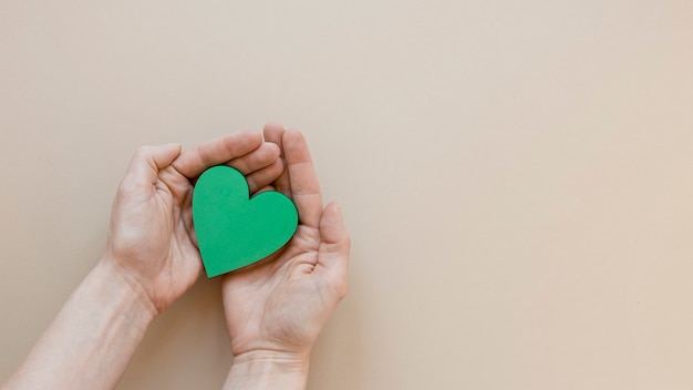 Photo personne tenant un coeur vert sur fond beige avec espace copie