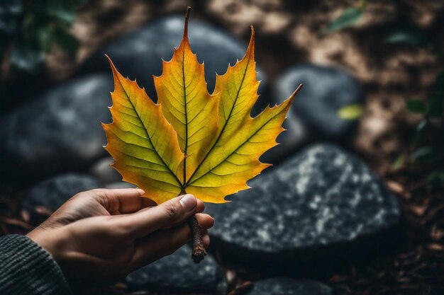 une personne tenant une feuille avec le mot tomber dessus